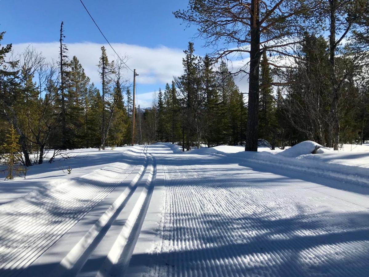 North Mountain Lodge Funäsdalen Εξωτερικό φωτογραφία